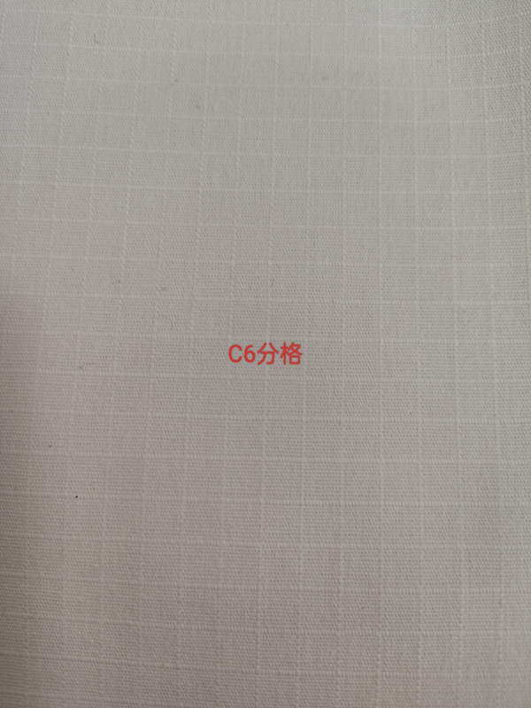 C6分格
