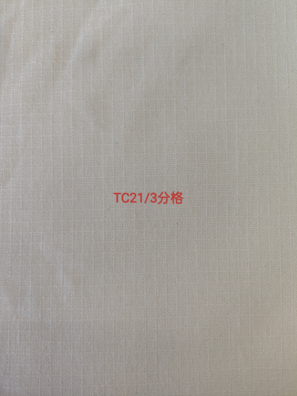 TC21/3分格
